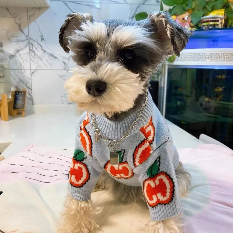 Letter Sweater Pet Dog Clothes - Winter Clothing For Toddlers review and price