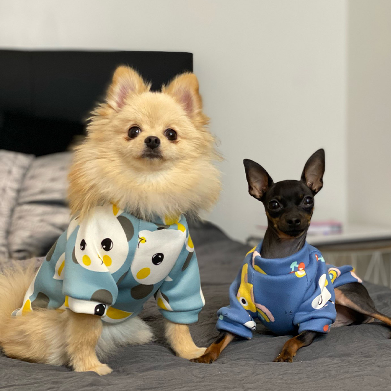 Xs Dog Clothes for Small Dogs  - Winter Clothing For Toddlers review and price