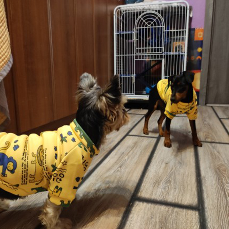 Xs Dog Clothes for Small Dogs  - Winter Clothing For Toddlers review and price
